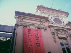 museo nacional de bellas artes